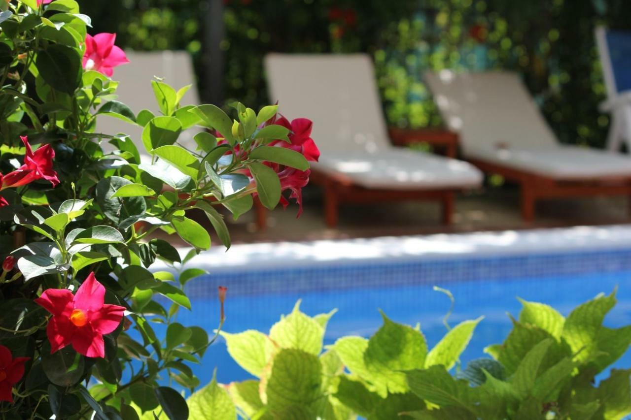 Villa Bojana Budua Esterno foto